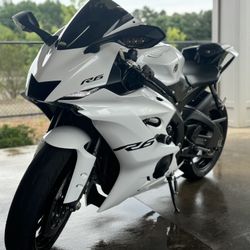 2019 Yamaha R6