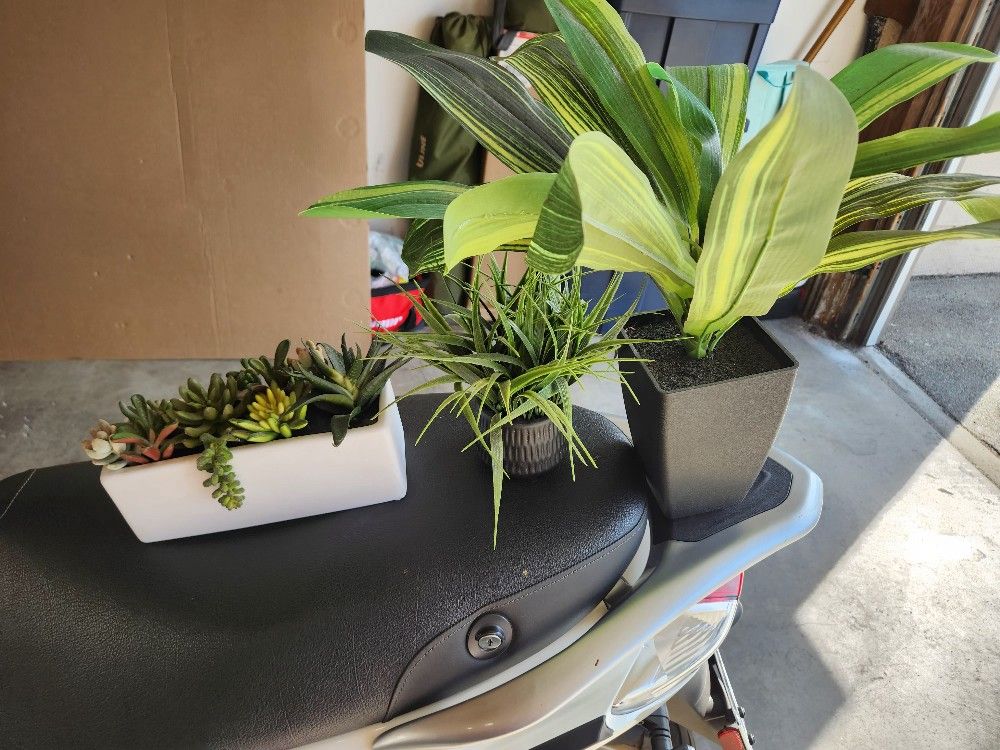 Fake Plants And Decor