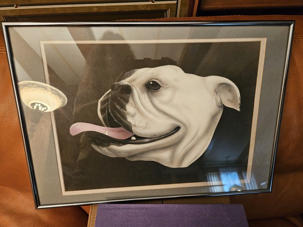 Bulldog