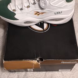 The Question Lebron Size 13