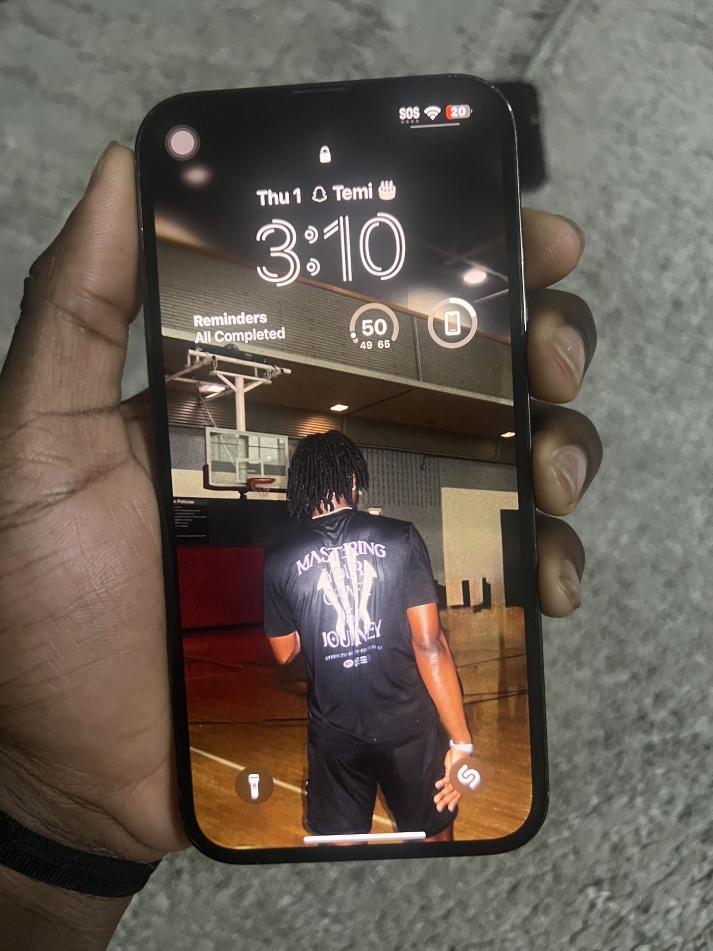 iPhone 13 Pro Max 256 GB Unlocked
