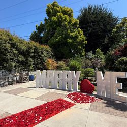 MARRY ME WEDDING PROPOSAL HEART