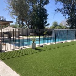 Pool Fence