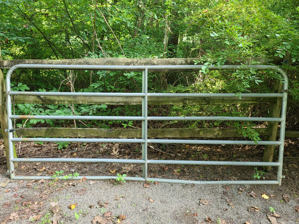 10 ft Cattle Gate