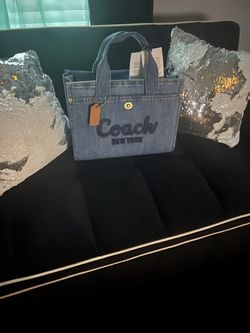 Coach Purse (new York)