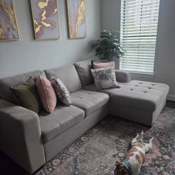Sleeper Sofa/couch With Storage 