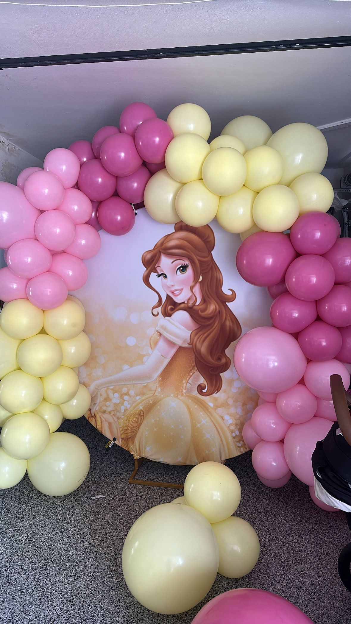 Belle Circle Backdrop Cover