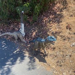 2 Jurassic  Park Dinos