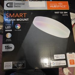 Commercial Electrical Smart Flush Mount