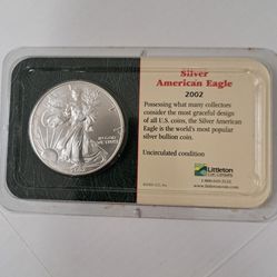 2002 Silver American Eagle Coin