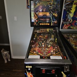 Pin Ball Machine