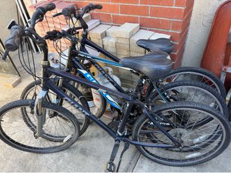 Free Giant bikes