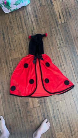 Child’s Ladybug Cape Costume
