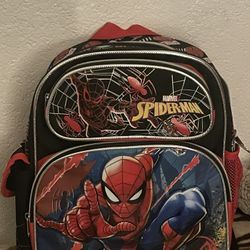 Spider-Man Small Backpack 