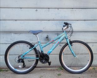PERFORMANCE 24" WHEELS BIKE