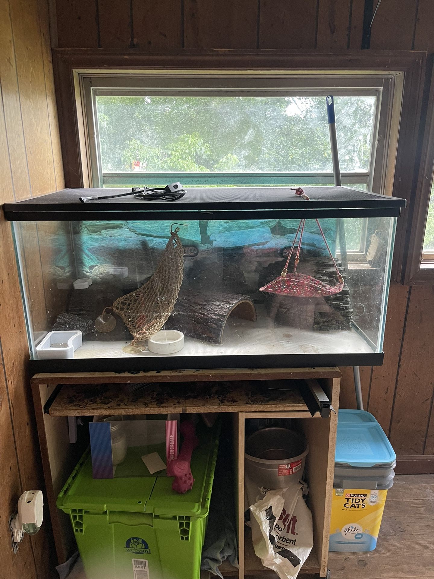 Bearded Dragon Tank
