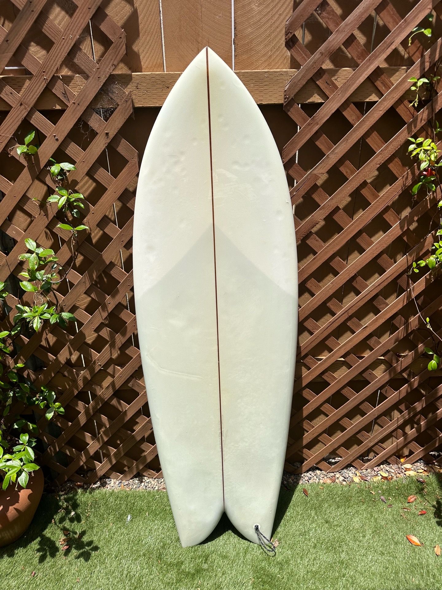 5’4 Christenson fish