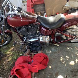 2 Harley Davison Motorcycles