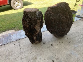 Cherry Wood Black Knot Burls 