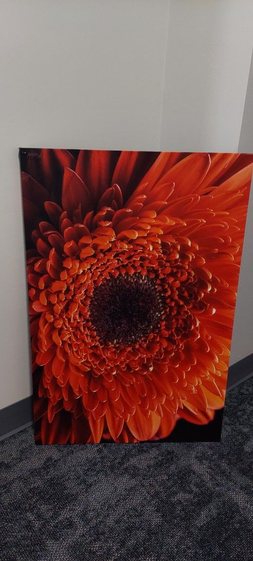 WALL ART - CANVAS PRINT - RED DAISY