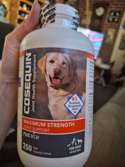 Cosequin for Dogs Supplement