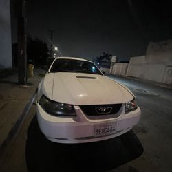 2001 Ford Mustang Or I Do Car Trades Too