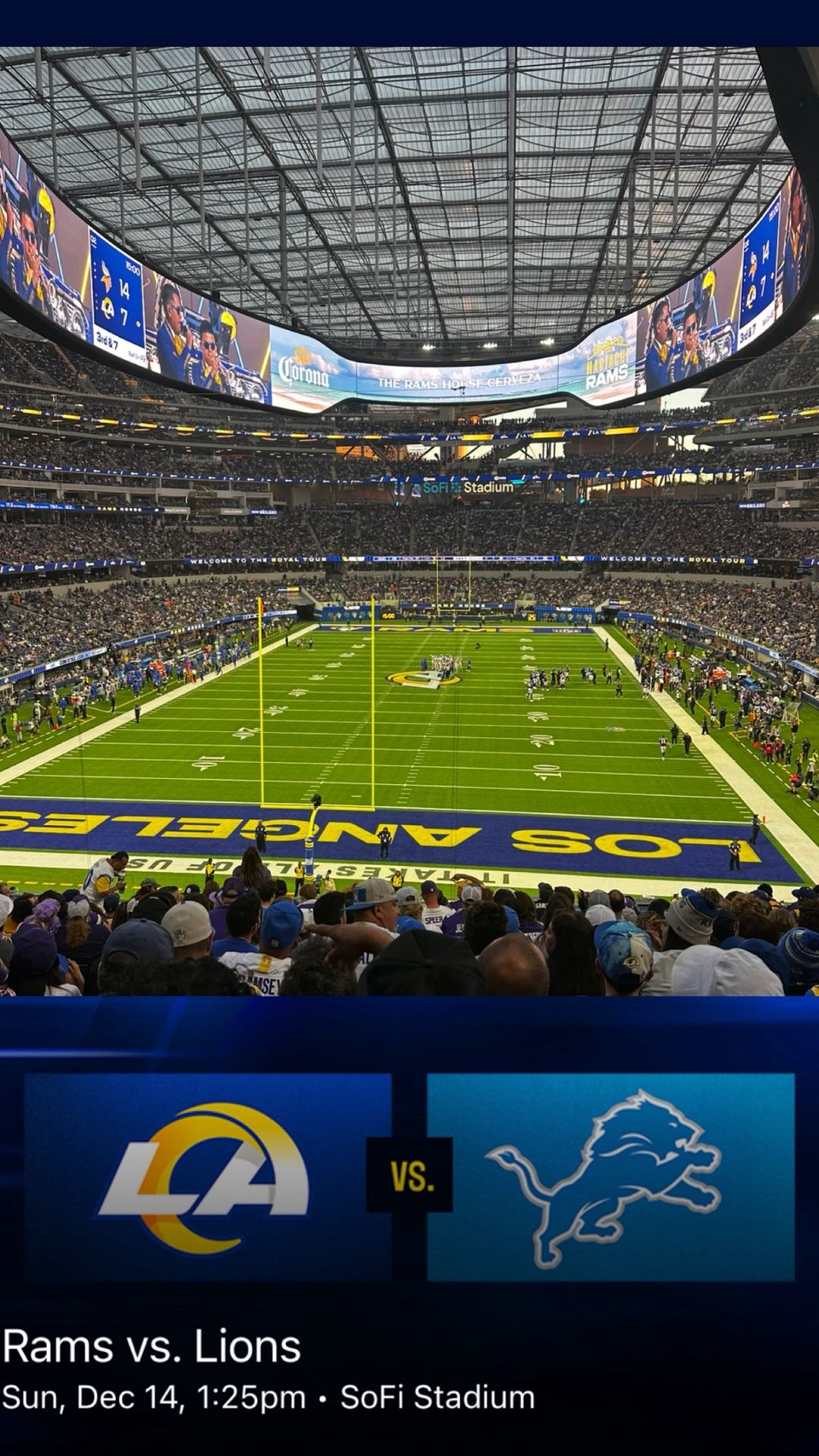 Lions Vs Rams