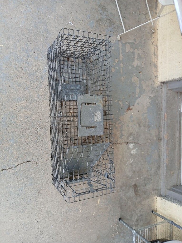 Large Animal Trap