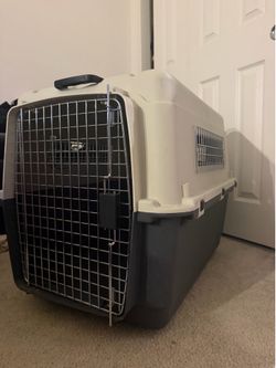 Dog kennel