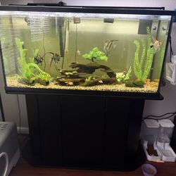 Fish Tank Set ALL ALL ALL INCLUDED Even Food, Stand, Decorations, Nets, Etc PECERA DE 75 GALONES