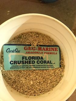 40 lbs crushed coral