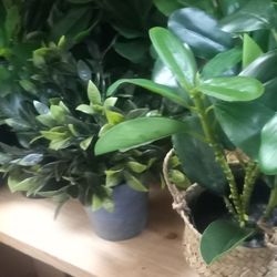 New Artificial Silk Table Top Plants Looks Real High Quality Masterpiece 7 Each 