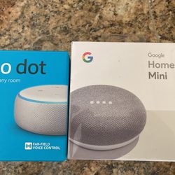 Echo Dot Or Home Mini