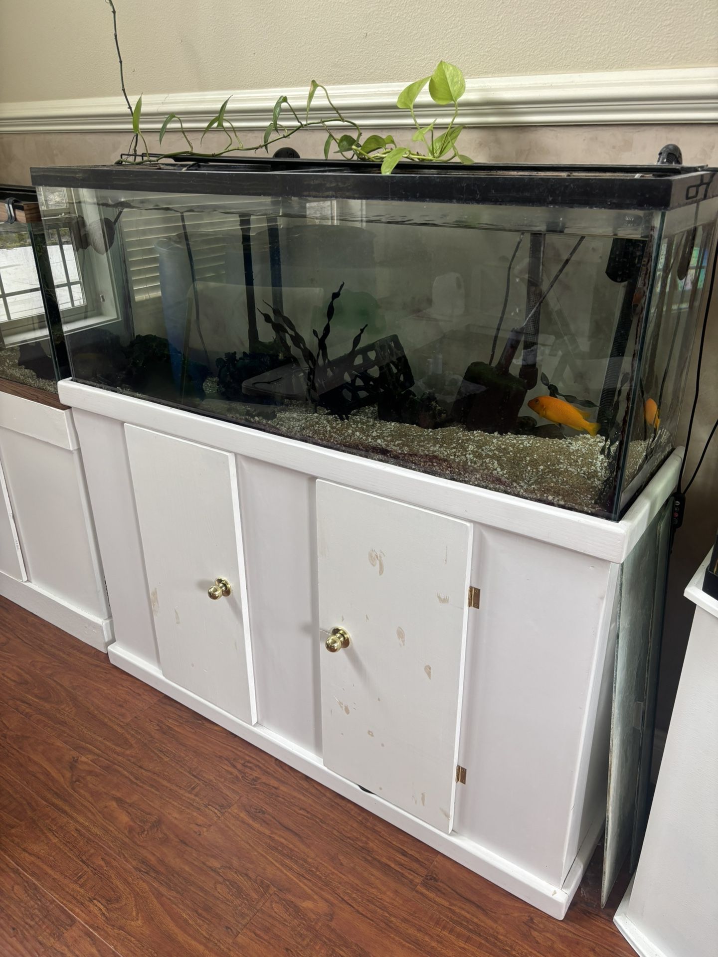 55 Gallon Fish Tank With Filter