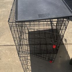 Kong Dog Crate 