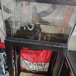 10 Gallon Fish Tank And Metal Stand