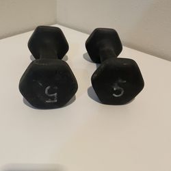 Two 5 Lb Weights
