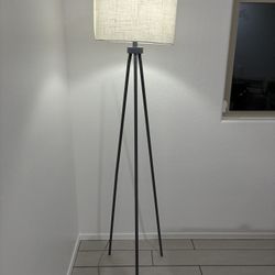 Modern Tripod Floor Lamp