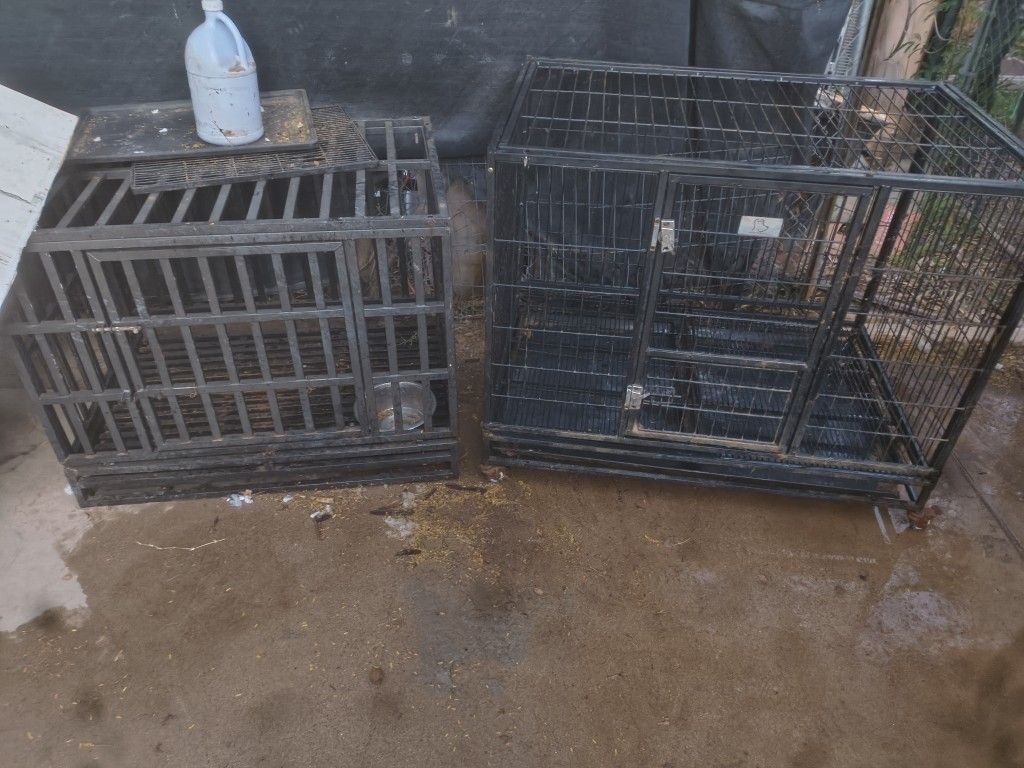 2 Kennels $80