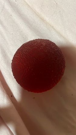 Lychee Mochi