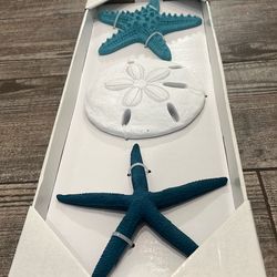 Seashell decor wall art new