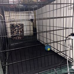 Dog Cage 