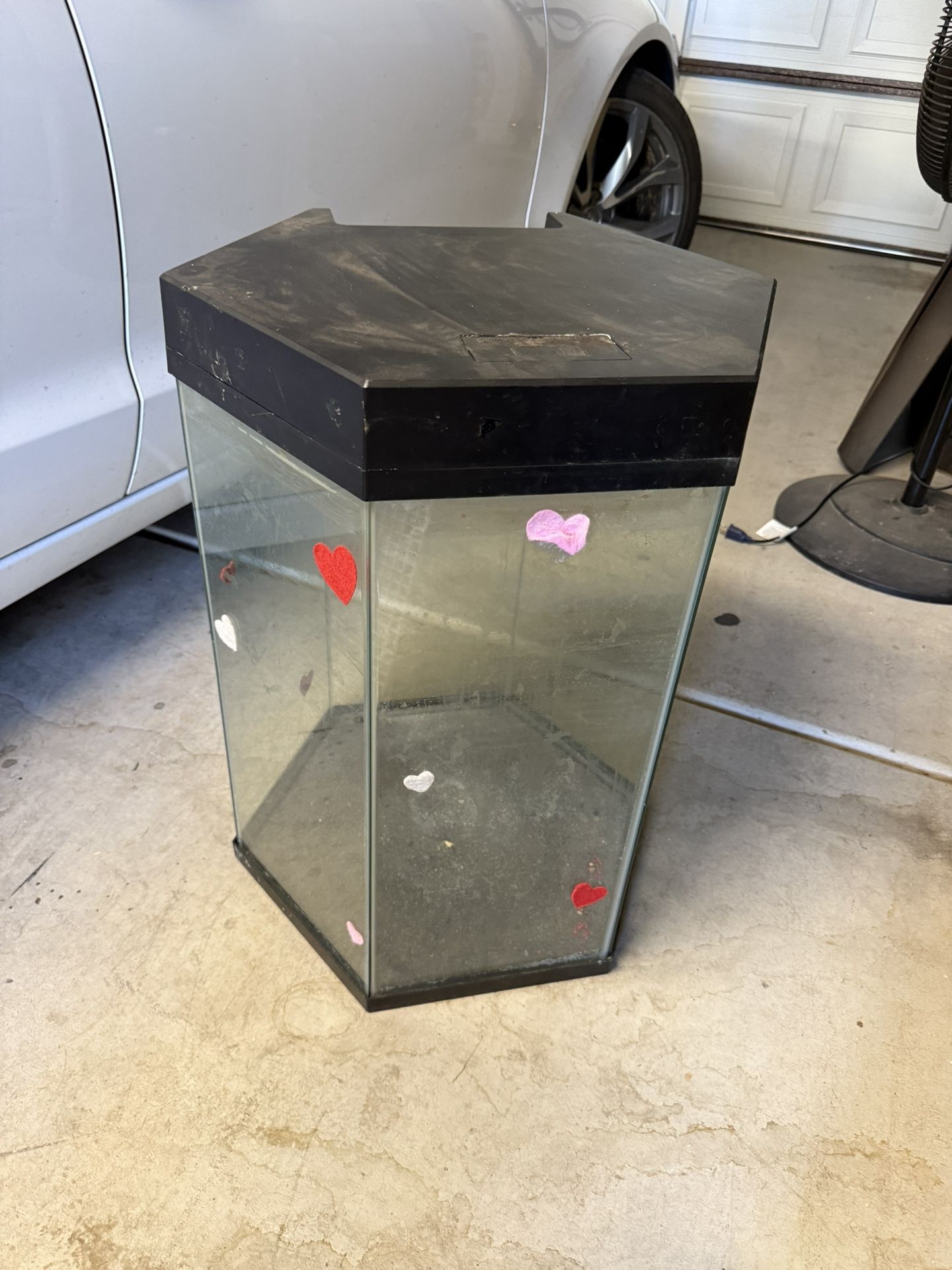 20 Gallon Top Gin Aquarium