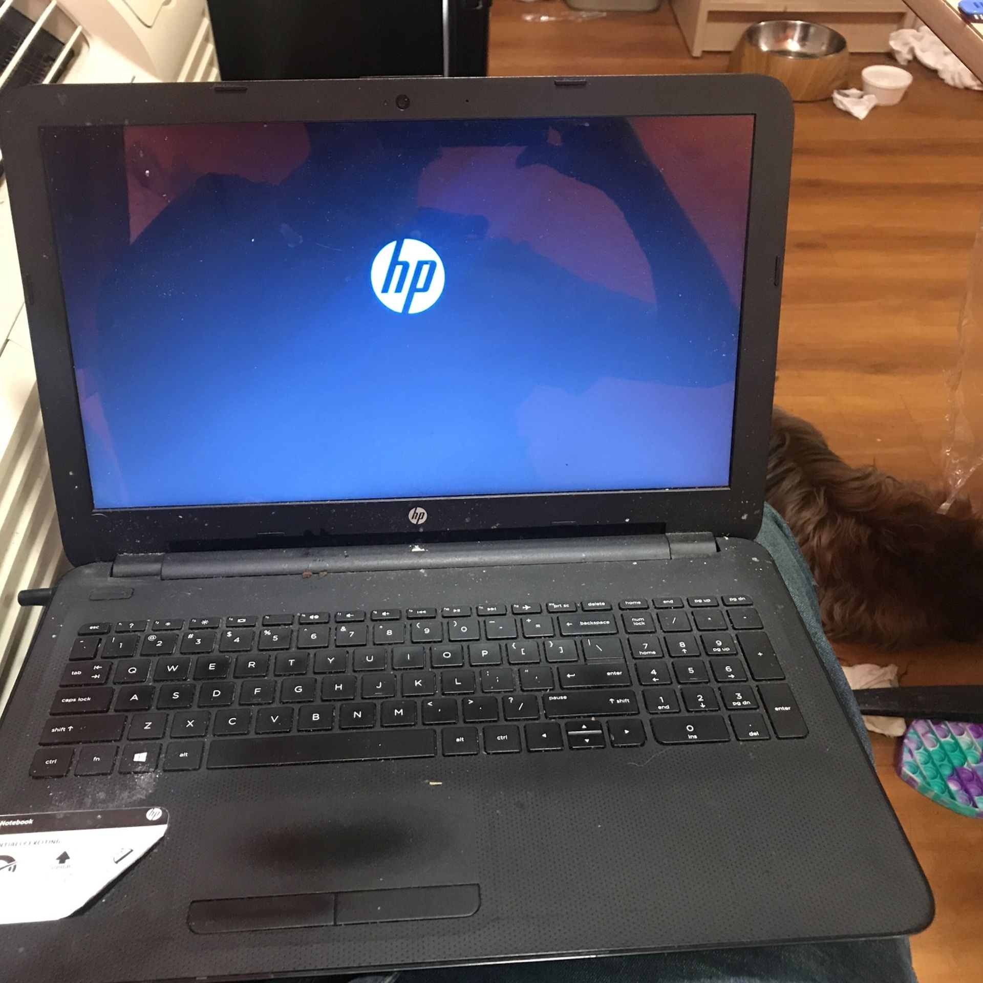 Hp Notebook 4gb Windows 10