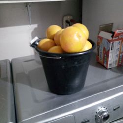 Bloody Grapefruit 10bucket