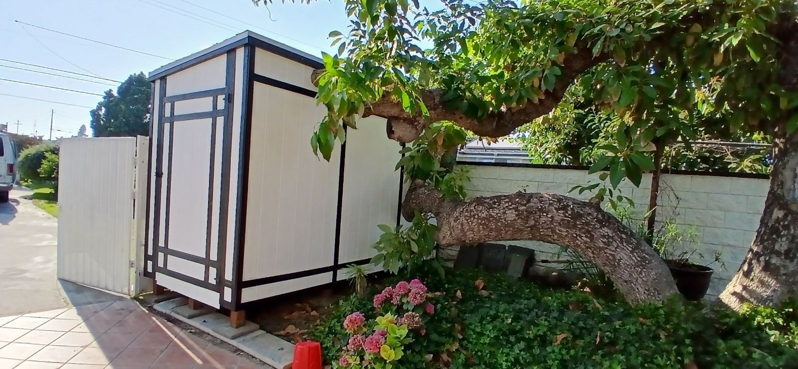 6x8 Shed