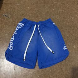 Brand new Blue Godspeed shorts size M