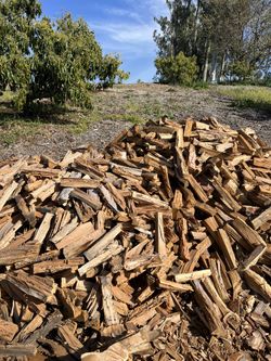 Eucalyptus firewood