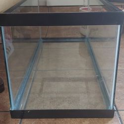 20 Gallon Aquarium Tank