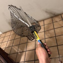 Fishnet 